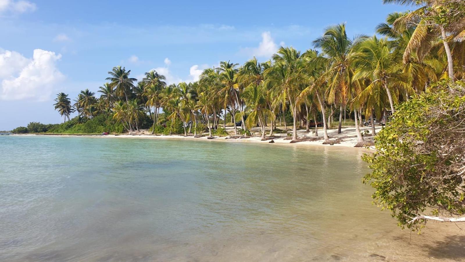 Studios Angoreva Vue Mer - Cote Plage Ou Jardin - Village Vacances - Sainte-Anne Guadeloupe Courcelles Buitenkant foto